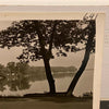 Gull Lake Yorkville Michigan RPPC Postcard Vintage Cottages Boathouses Boats