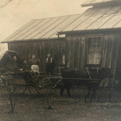 Bellevue Ohio Farm RPPC Divided Back Postcard Vintage Early 1900s Cow Cart