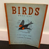 Birds Activity Book One J. Potzger 1936